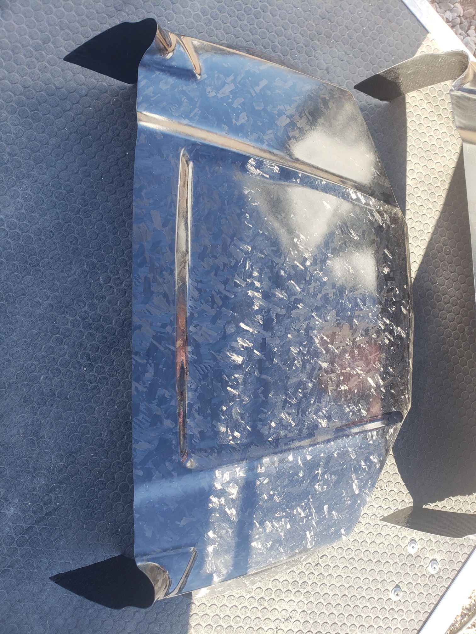 RZR 170 Hood